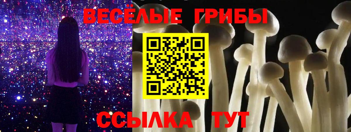 Галлюциногенные грибы MAGIC MUSHROOMS Осинники